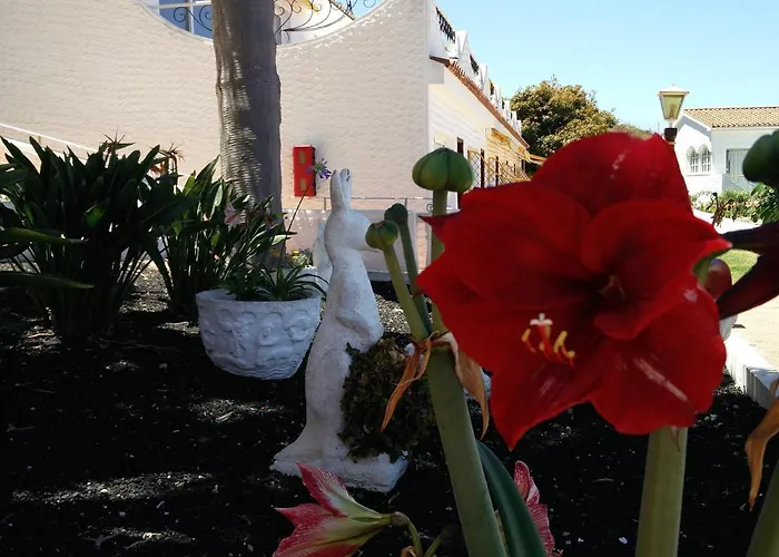 Apartament The Bluestudio Tacoronte
